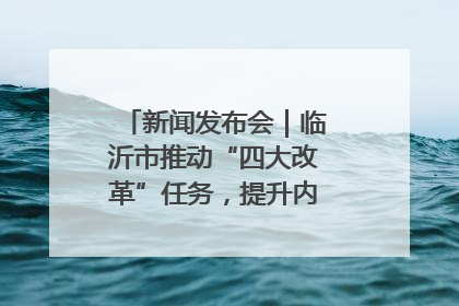 新闻发布会｜临沂市推动“四大改革”任务，提升内部审计监督效能