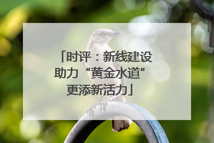 时评：新线建设助力“黄金水道”更添新活力