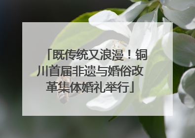 既传统又浪漫！铜川首届非遗与婚俗改革集体婚礼举行