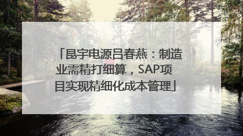 昆宇电源吕春燕：制造业需精打细算，SAP项目实现精细化成本管理