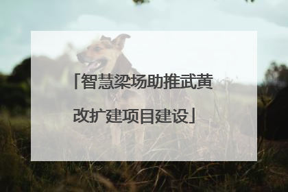 智慧梁场助推武黄改扩建项目建设