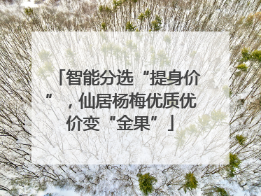 智能分选“提身价”，仙居杨梅优质优价变“金果”