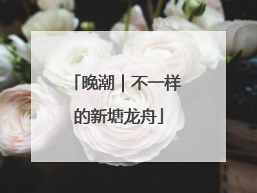 晚潮｜不一样的新塘龙舟
