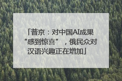普京：对中国AI成果“感到惊喜”，俄民众对汉语兴趣正在增加