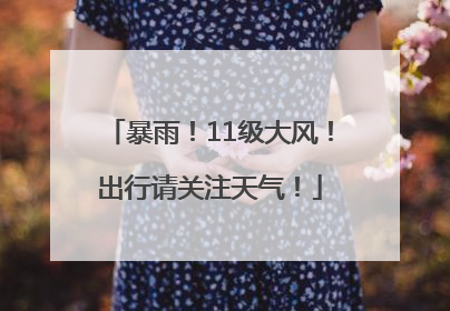 暴雨！11级大风！出行请关注天气！