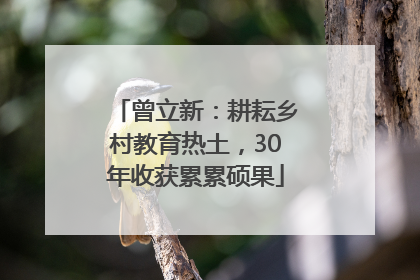 曾立新：耕耘乡村教育热土，30年收获累累硕果