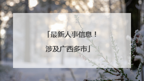 最新人事信息！涉及广西多市