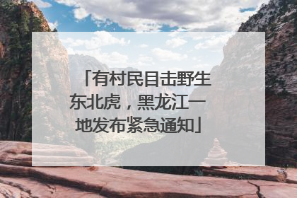 有村民目击野生东北虎，黑龙江一地发布紧急通知