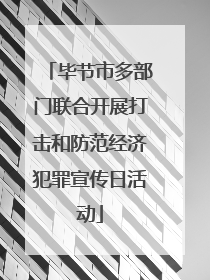 毕节市多部门联合开展打击和防范经济犯罪宣传日活动