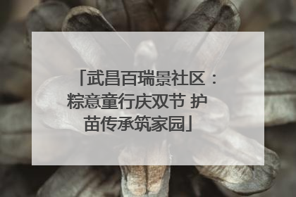 武昌百瑞景社区：粽意童行庆双节 护苗传承筑家园