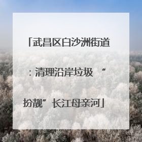 武昌区白沙洲街道：清理沿岸垃圾 “扮靓”长江母亲河