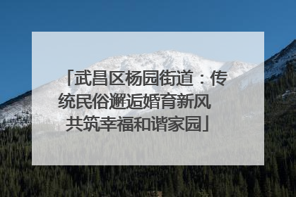 武昌区杨园街道：传统民俗邂逅婚育新风 共筑幸福和谐家园