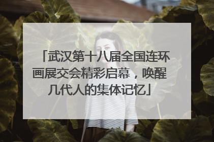 武汉第十八届全国连环画展交会精彩启幕，唤醒几代人的集体记忆