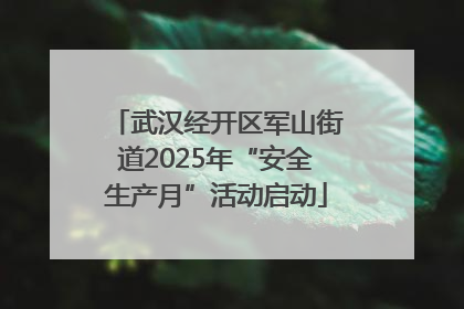 武汉经开区军山街道2025年“安全生产月”活动启动