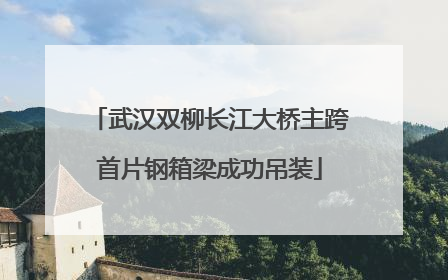 武汉双柳长江大桥主跨首片钢箱梁成功吊装