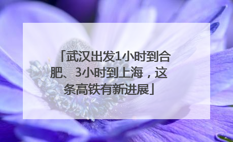 武汉出发1小时到合肥、3小时到上海，这条高铁有新进展