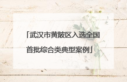 武汉市黄陂区入选全国首批综合类典型案例