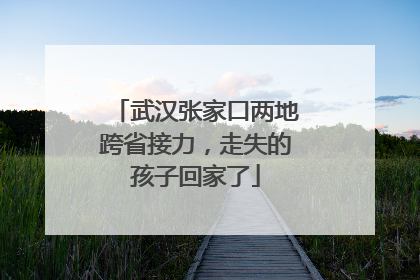 武汉张家口两地跨省接力，走失的孩子回家了
