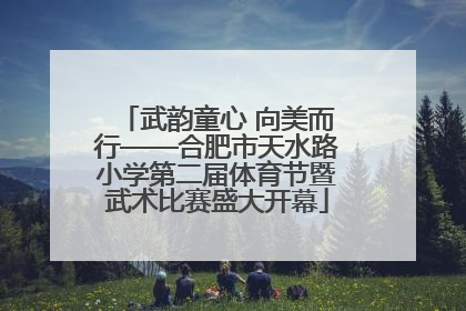 武韵童心 向美而行——合肥市天水路小学第二届体育节暨武术比赛盛大开幕