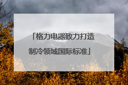 格力电器致力打造制冷领域国际标准