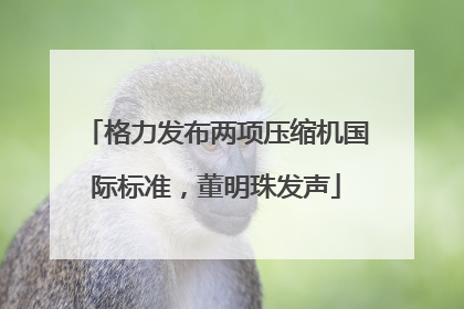 格力发布两项压缩机国际标准，董明珠发声