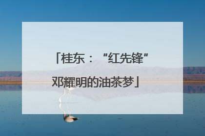 桂东：“红先锋”邓耀明的油茶梦
