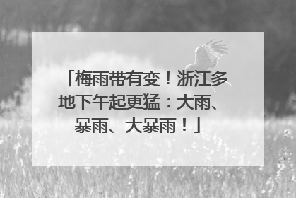 梅雨带有变！浙江多地下午起更猛：大雨、暴雨、大暴雨！