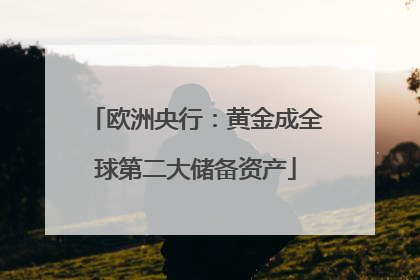 欧洲央行：黄金成全球第二大储备资产