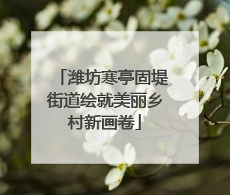 潍坊寒亭固堤街道绘就美丽乡村新画卷