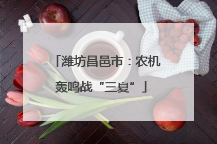潍坊昌邑市：农机轰鸣战“三夏”