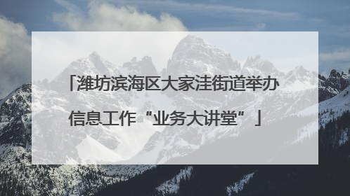 潍坊滨海区大家洼街道举办信息工作“业务大讲堂”