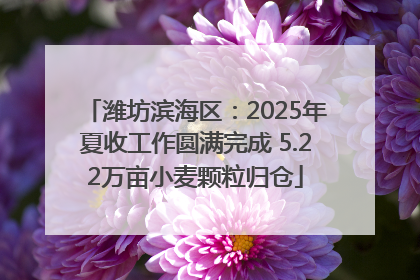 潍坊滨海区：2025年夏收工作圆满完成 5.22万亩小麦颗粒归仓