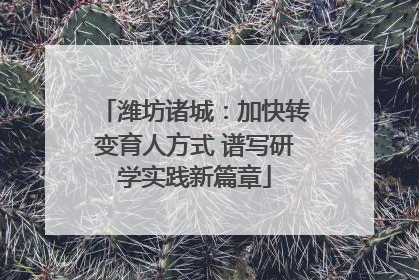 潍坊诸城：加快转变育人方式 谱写研学实践新篇章