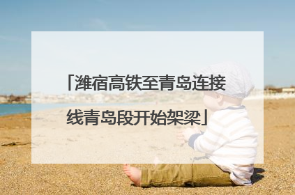 潍宿高铁至青岛连接线青岛段开始架梁