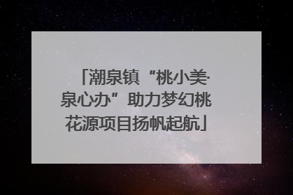 潮泉镇“桃小美·泉心办”助力梦幻桃花源项目扬帆起航