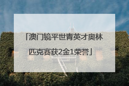 澳门镜平世青英才奥林匹克赛获2金1荣誉