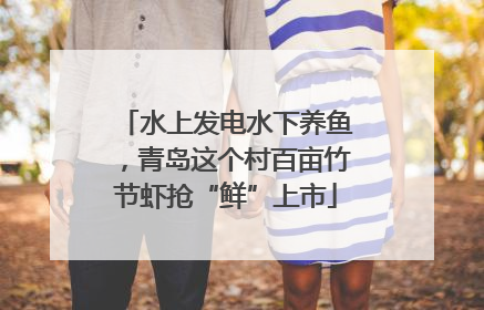 水上发电水下养鱼，青岛这个村百亩竹节虾抢“鲜”上市