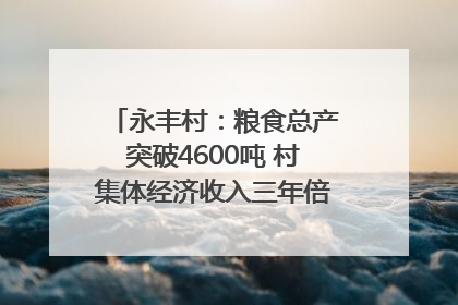 永丰村：粮食总产突破4600吨 村集体经济收入三年倍增｜牵挂的村