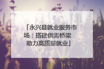永兴县就业服务市场：搭建供需桥梁 助力高质量就业