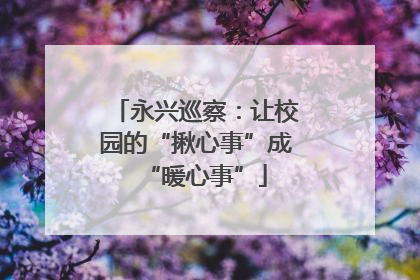 永兴巡察：让校园的“揪心事”成“暖心事”