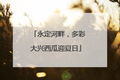 永定河畔，多彩大兴西瓜迎夏日
