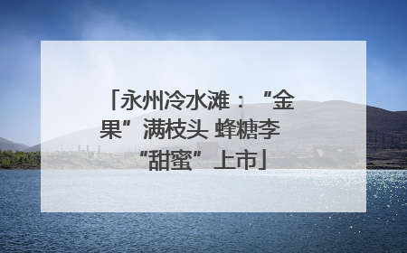 永州冷水滩：“金果”满枝头 蜂糖李“甜蜜”上市