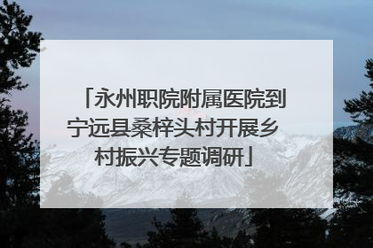 永州职院附属医院到宁远县桑梓头村开展乡村振兴专题调研