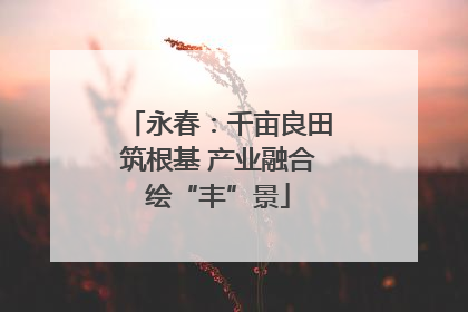 永春：千亩良田筑根基 产业融合绘“丰”景