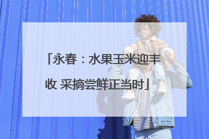 永春：水果玉米迎丰收 采摘尝鲜正当时