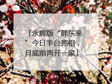 永辉版“胖东来”今日丰台亮相，月底前再开一家