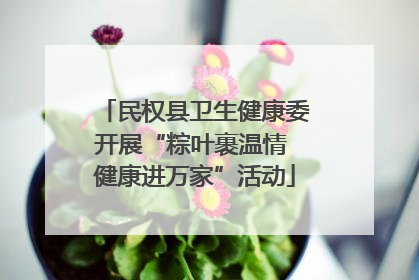 民权县卫生健康委开展“粽叶裹温情 健康进万家”活动