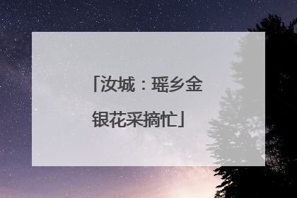 汝城：瑶乡金银花采摘忙