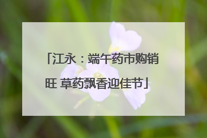 江永：端午药市购销旺 草药飘香迎佳节