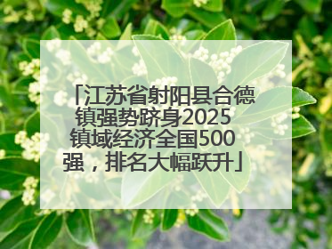 江苏省射阳县合德镇强势跻身2025镇域经济全国500强，排名大幅跃升